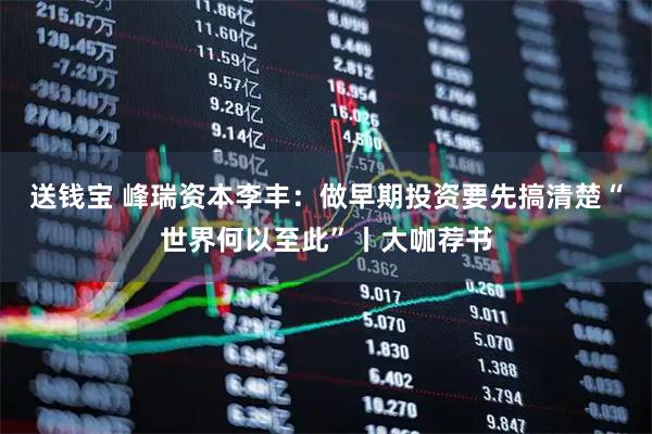 送钱宝 峰瑞资本李丰：做早期投资要先搞清楚“世界何以至此”丨大咖荐书