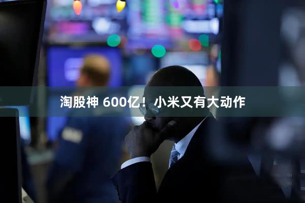 淘股神 600亿！小米又有大动作